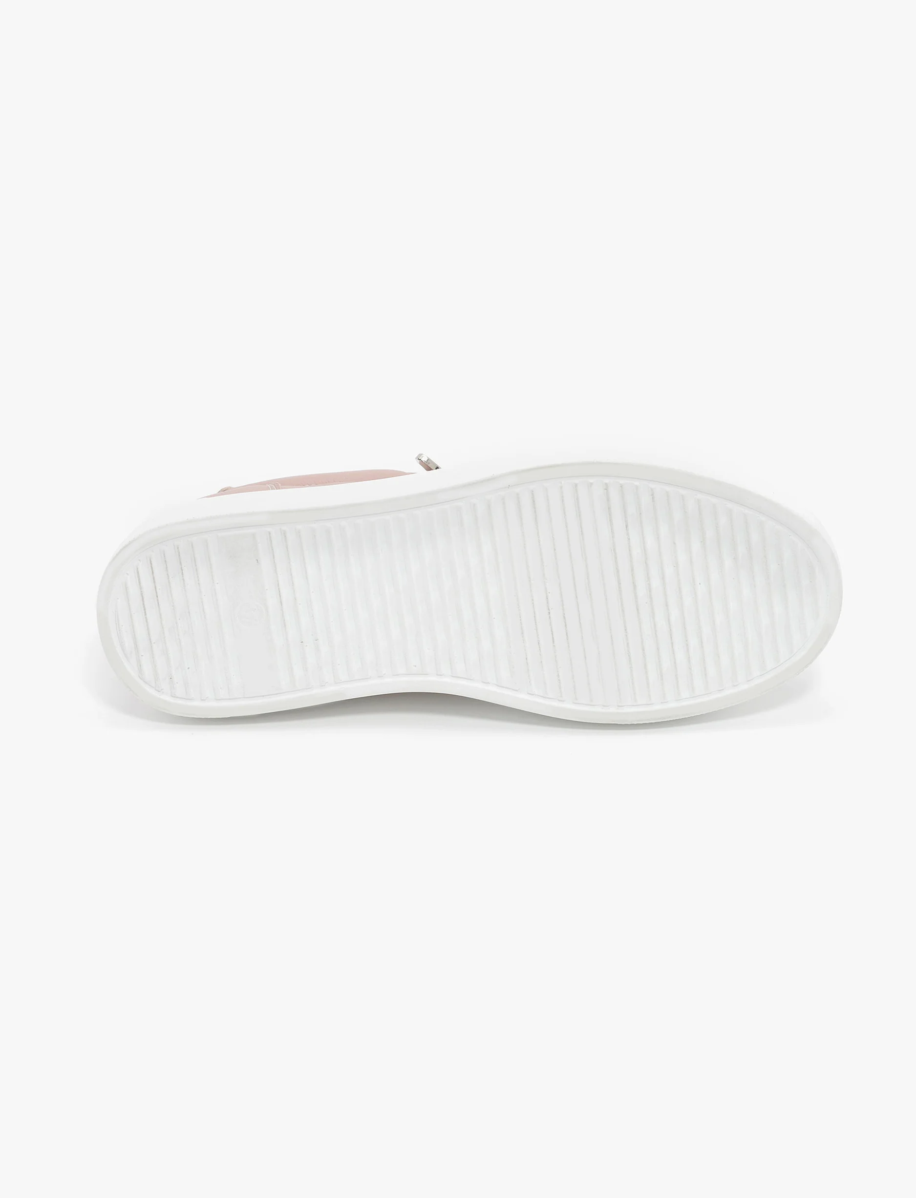 תמונה ממוזערת 5